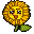 Sun Flower